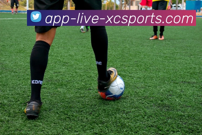 杏彩体育平台生态图