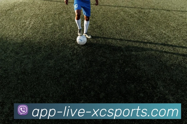 杏彩体育全站App 杏彩体育全站App