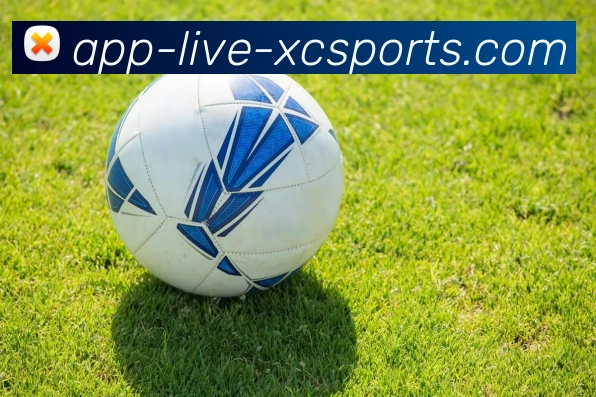 辅助工具 辅助工具